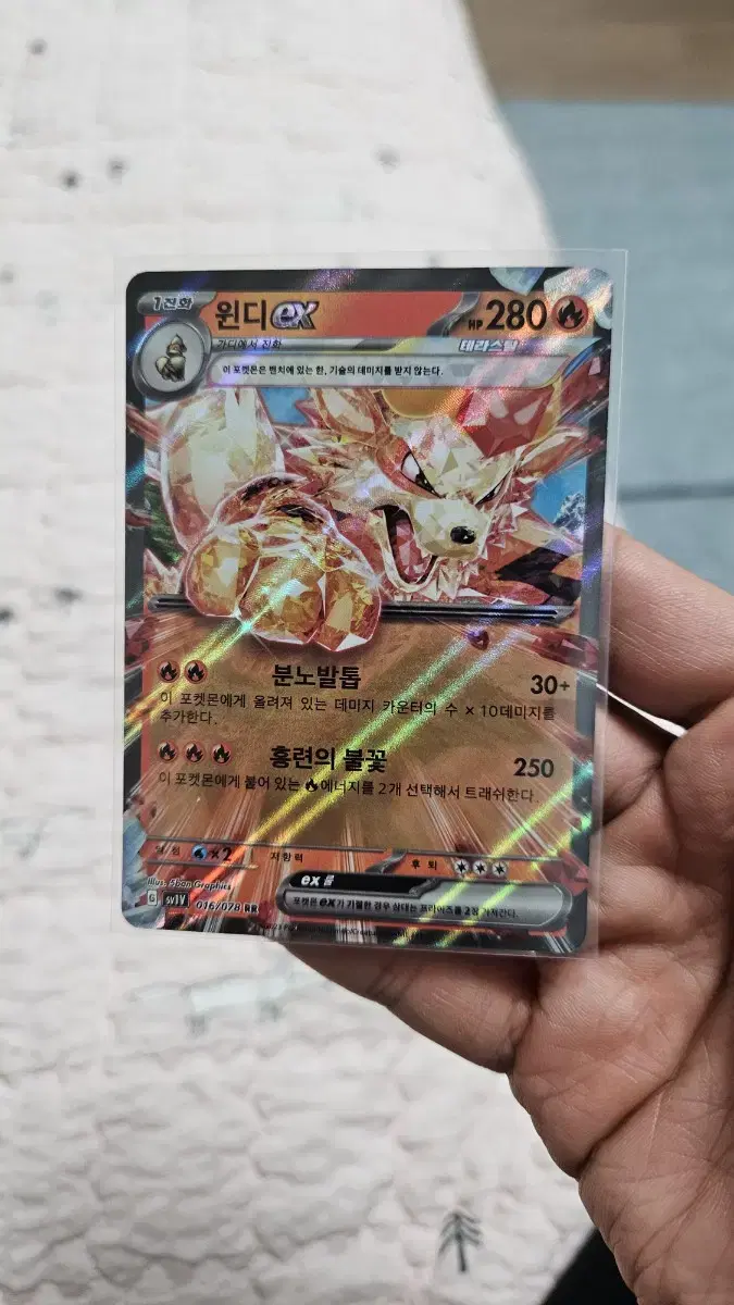 Pokémon Card Windy ex RR Double Rare Card