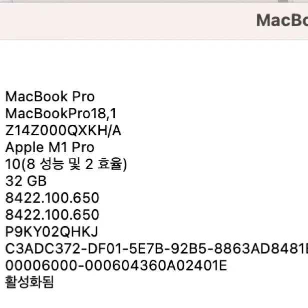 맥북 프로 m1 10코어 16인치 32gb 1tb