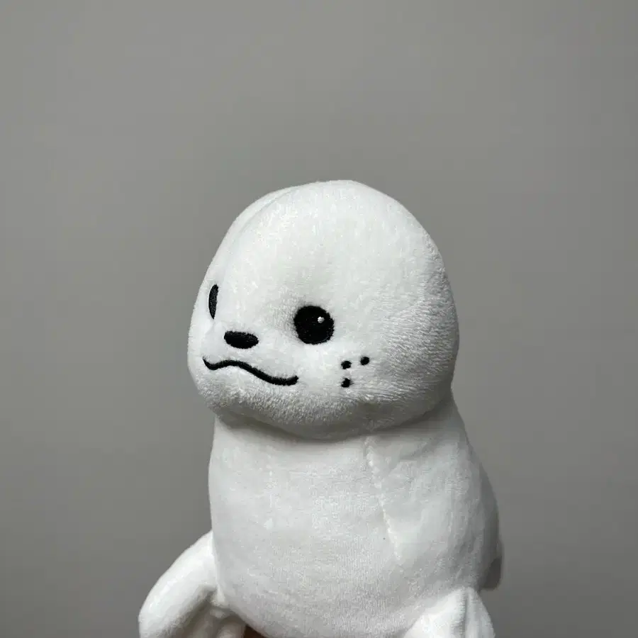 물개옹 옹성우 인형