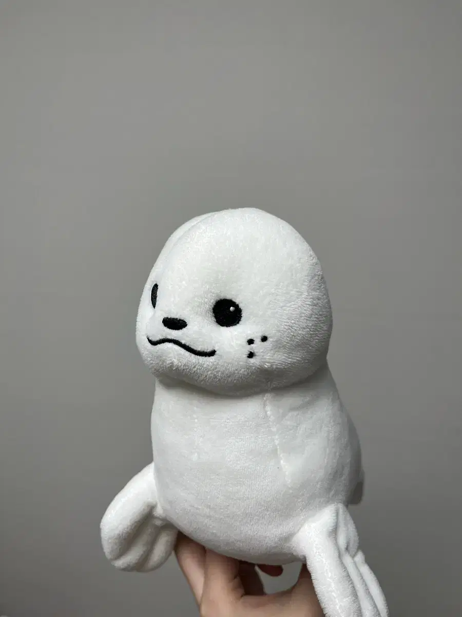 물개옹 옹성우 인형