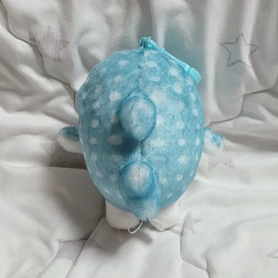 모후샌드 고양이 상어코스튬 블루바이냥 키링인형 (약12cm, 택X)