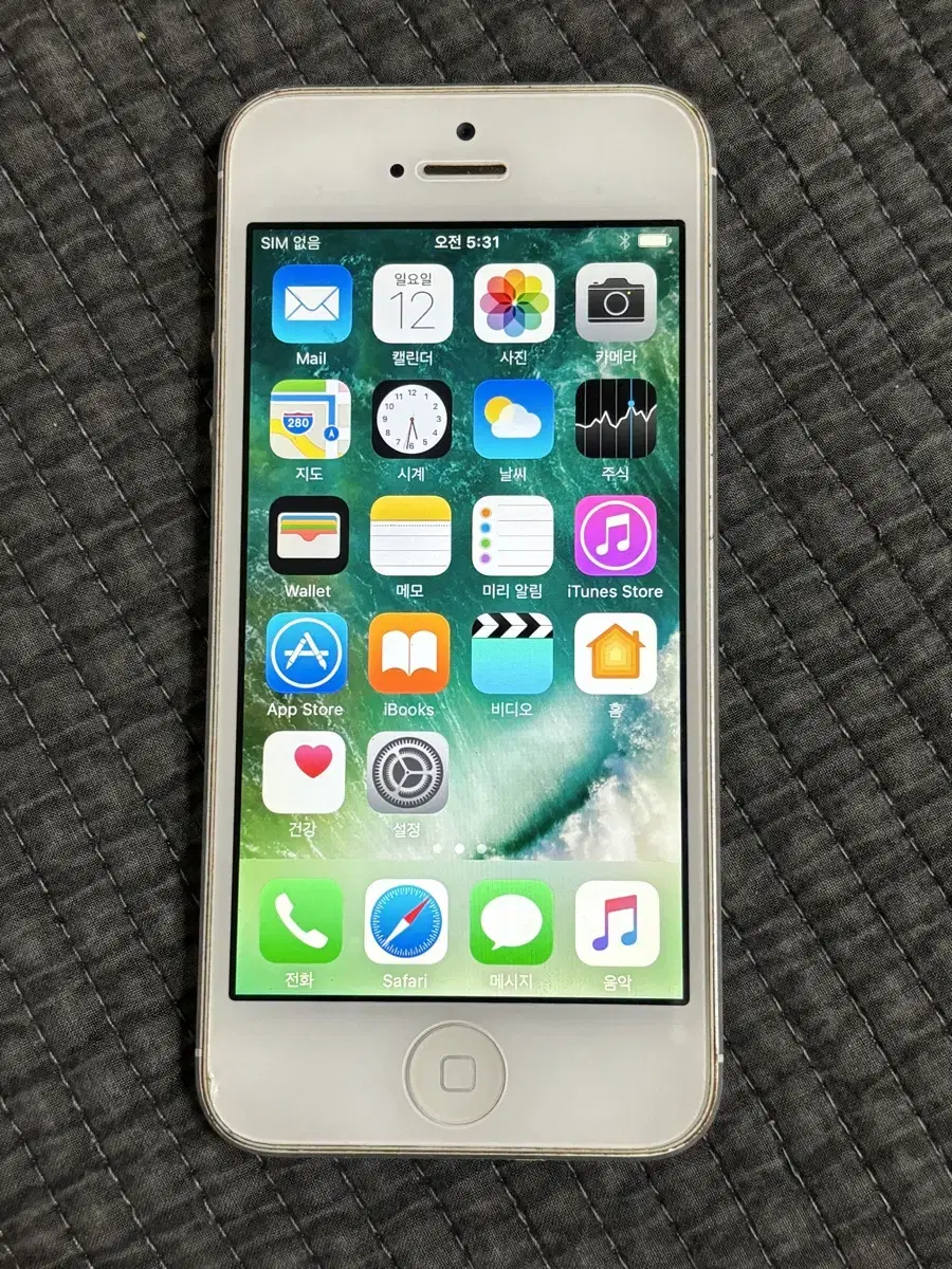 iPhone5 16GB Silver  50116