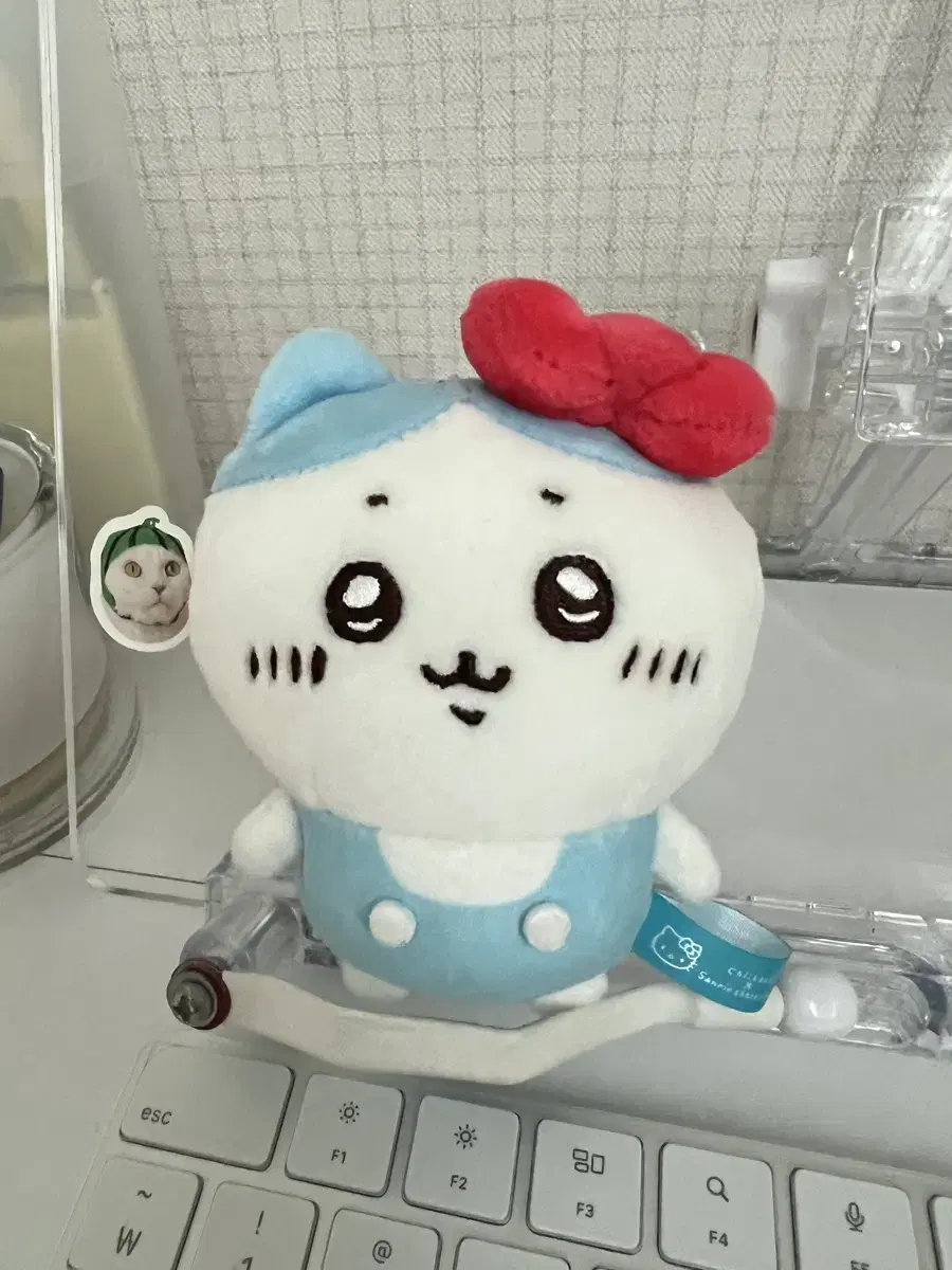 I want to sell Kitty Hachiware