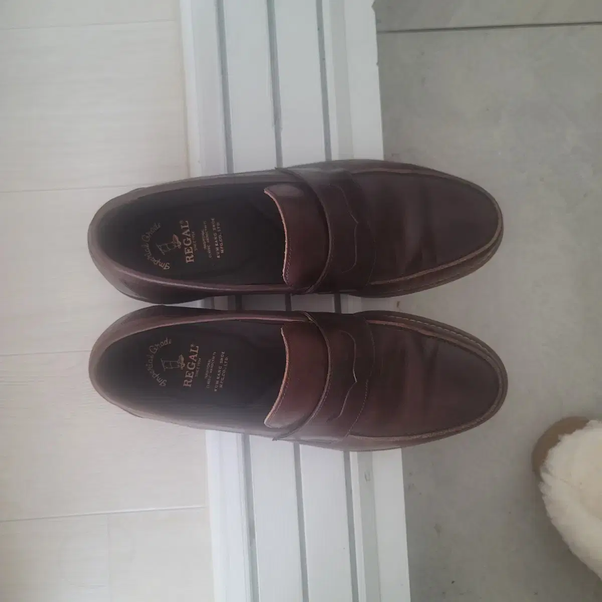 Regal Penny Loafer 260 by Keumgang Shoe Company