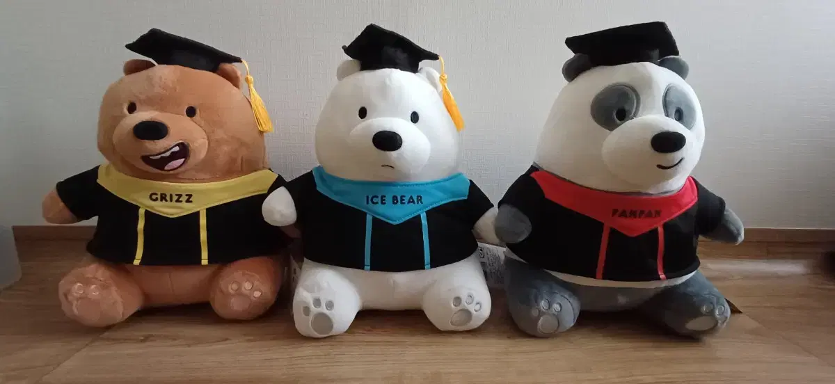 We Bare Bears_Graduation Medium doll Bulk Sale