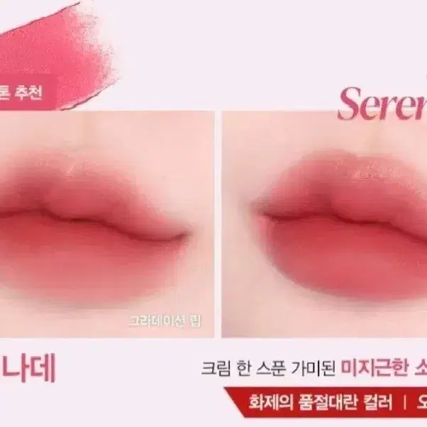 에스쁘아 꾸뛰르 립틴트 블러 벨벳 세레나데 톤페어링 리퀴드 치크 화장품