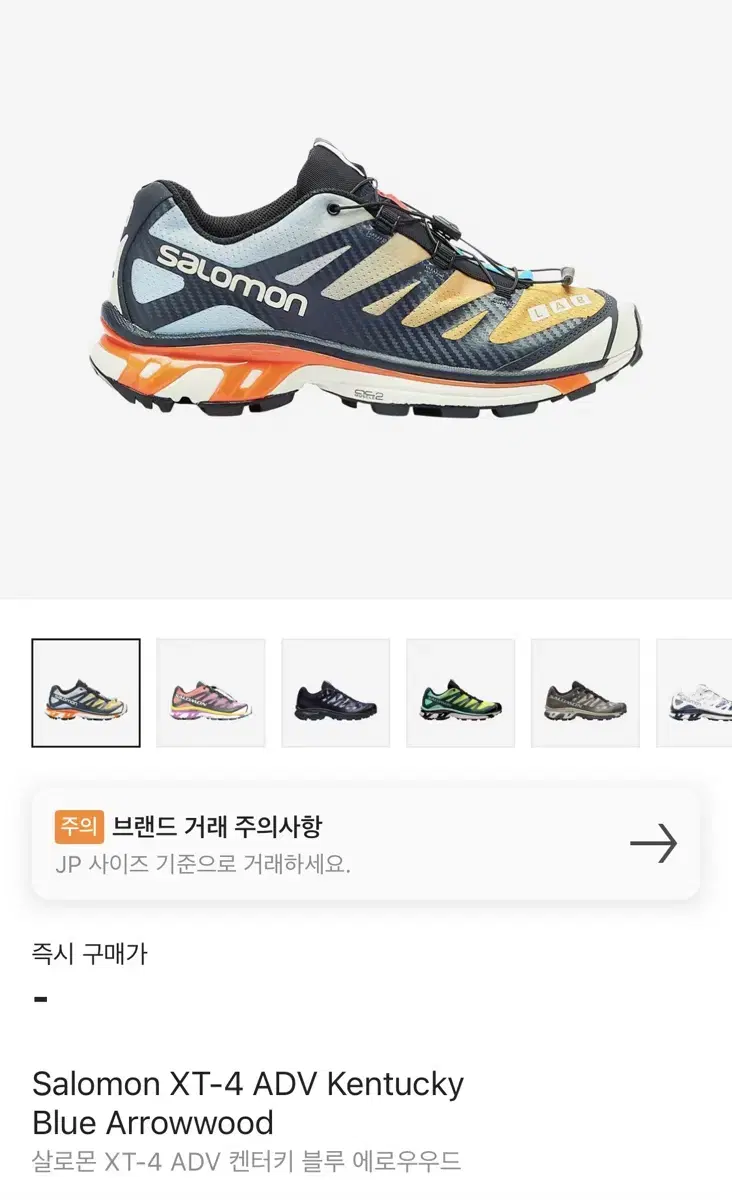 [290]살로몬 XT-4 ADV 켄터키블루