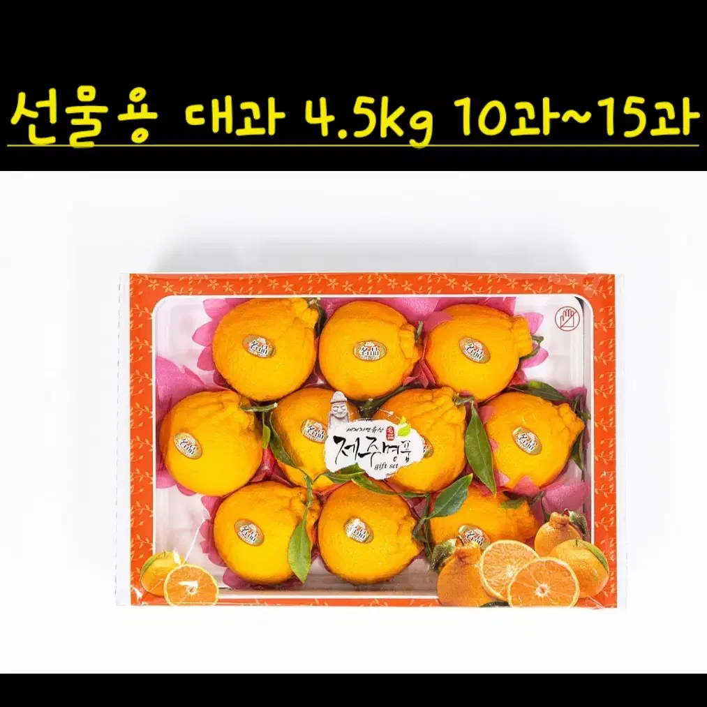 [설선물세트] 제주 특산품 한라봉  4.5kg 대과(10~15과) 판매