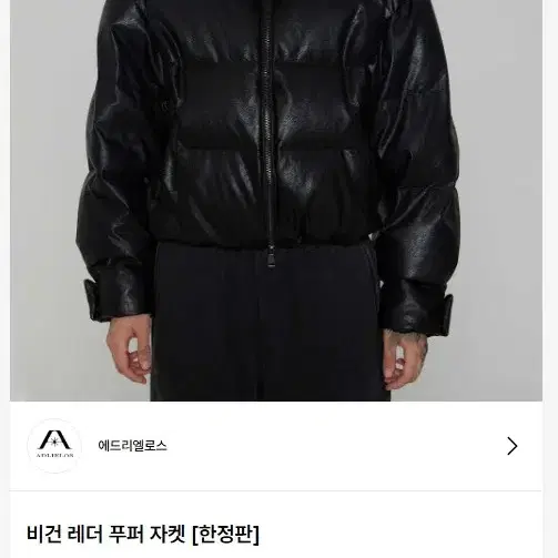 깡스타일리스트 에드리엘로스 가죽패딩