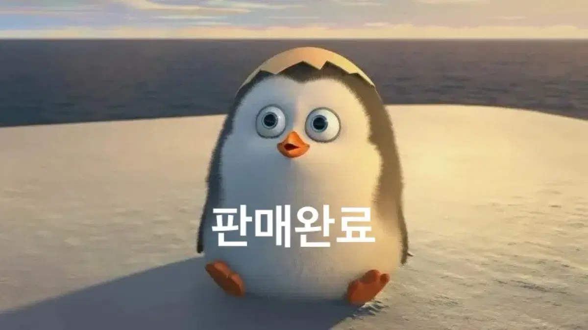 미개봉 원피스 제일복권 피규어 B상 D상 판매