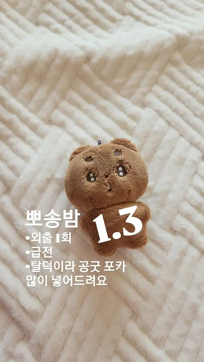 금전)뽀송밤 뽀바투 투바투 인형 판매해요