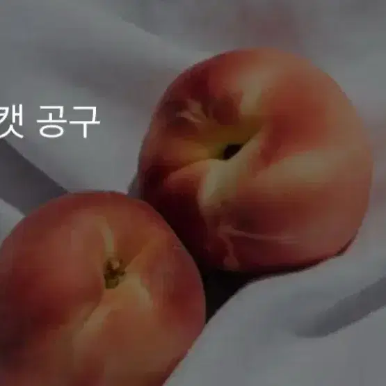 [공구, 분철] 주술회전 시부야사변 메가캣 노바라