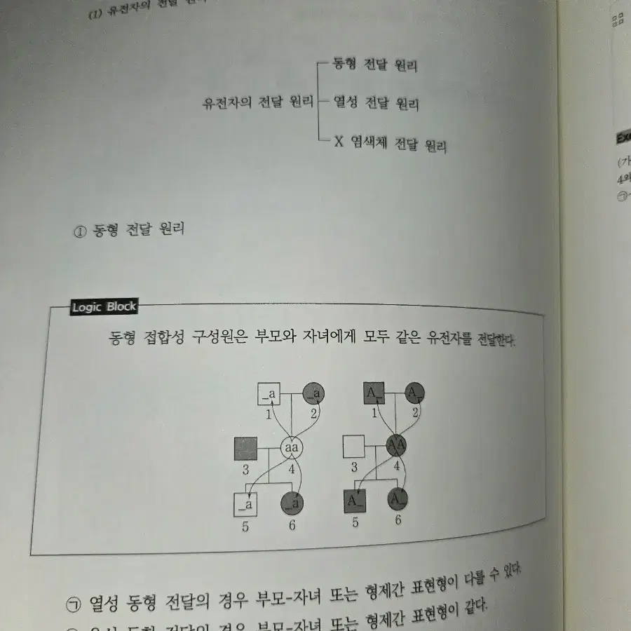 강대 정윤제t 파이널N제, 추론형 분석서 생명과학