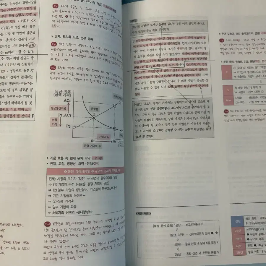 강은양T (김은양T) 2025 스키마 전권