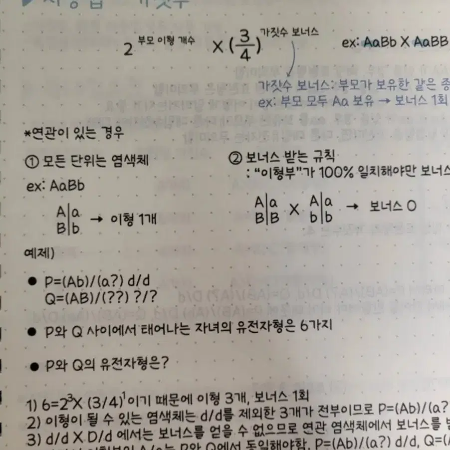 강대 정석준t 생명과학 필기노트 (수성구 암흑스킬)