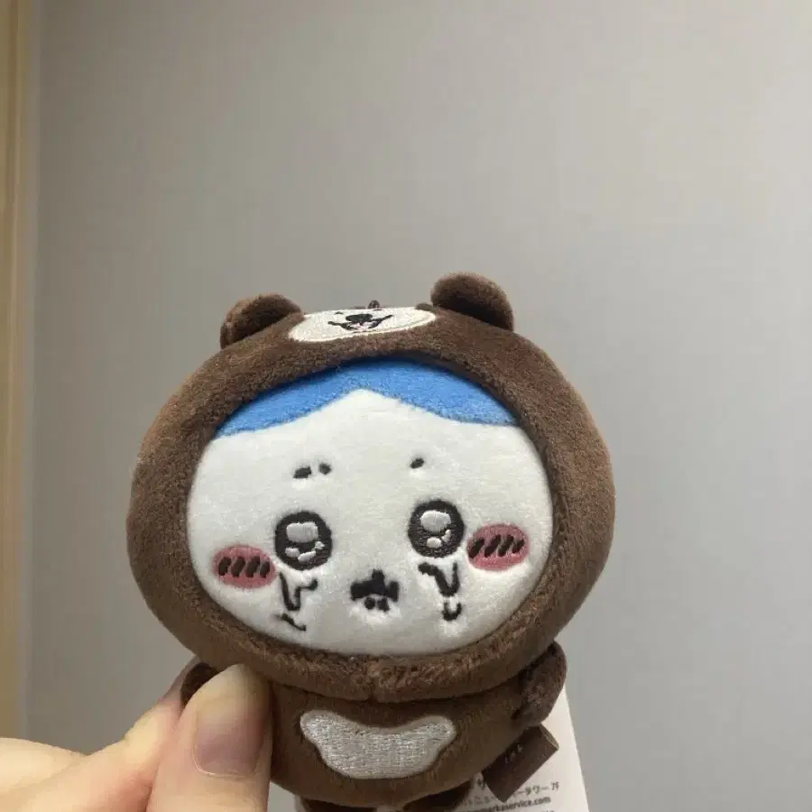 말레이곰 하치와레