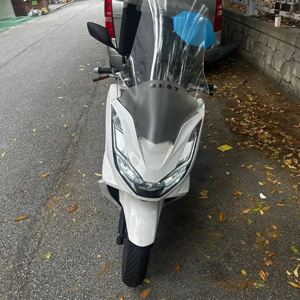 PCX125 22년식 눈물을 머금고 급처합니다