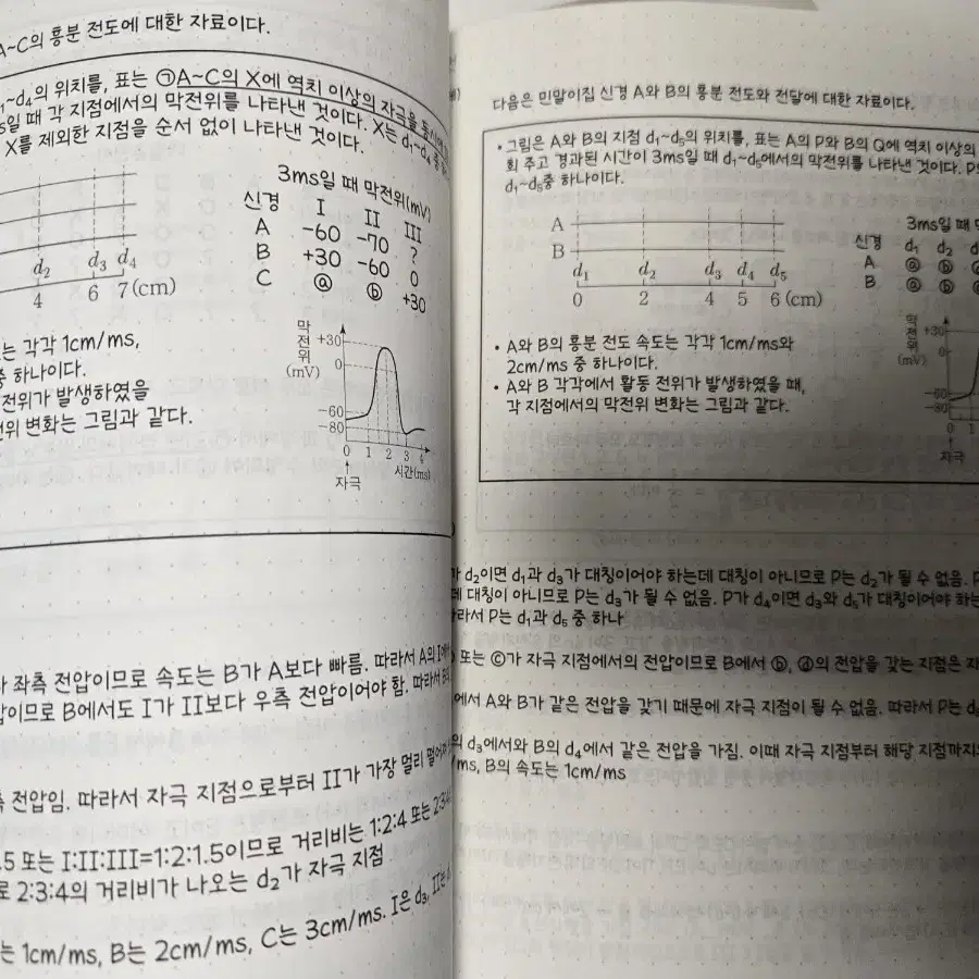 강대 정석준t 생명과학 단과특강 전용n제,주간지 ACCEL SYNCHRO