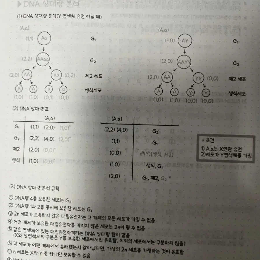 강대 정석준t 생명과학 단과특강 전용n제,주간지 ACCEL SYNCHRO