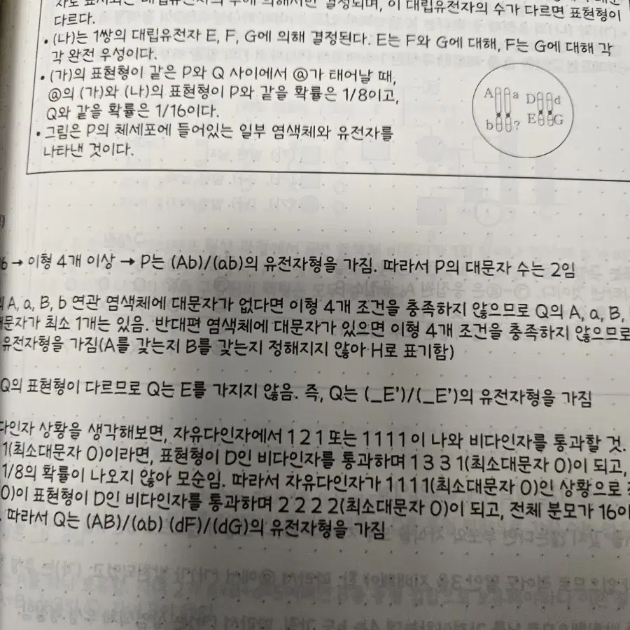 강대 정석준t 생명과학 단과특강 전용n제,주간지 ACCEL SYNCHRO