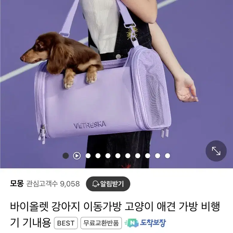 강아지 고양이 이동가방 기내용가방 이동장 새상품