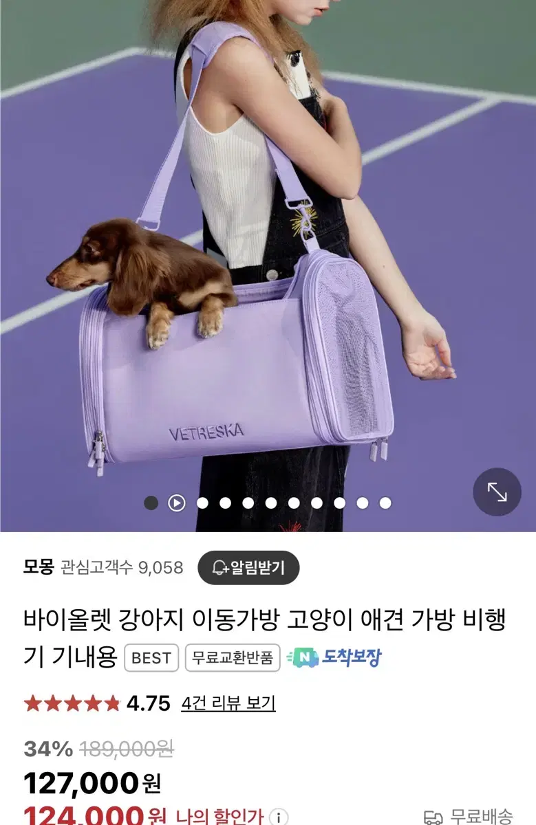 강아지 고양이 이동가방 기내용가방 이동장 새상품