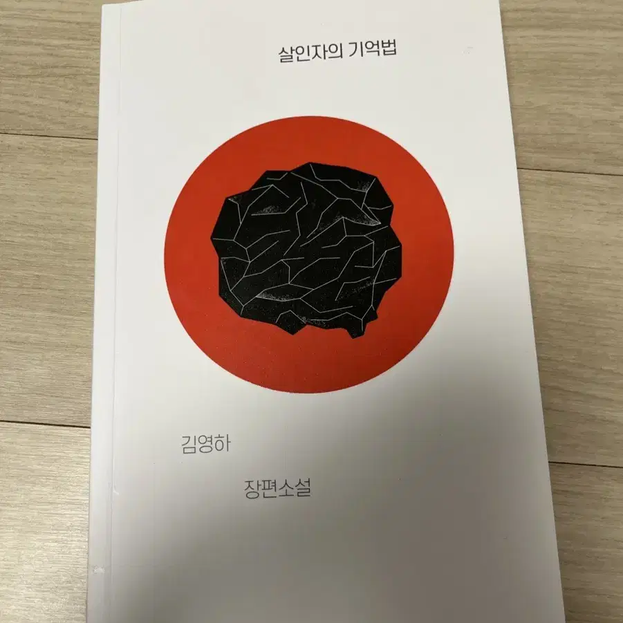 살인자의 기억법 책