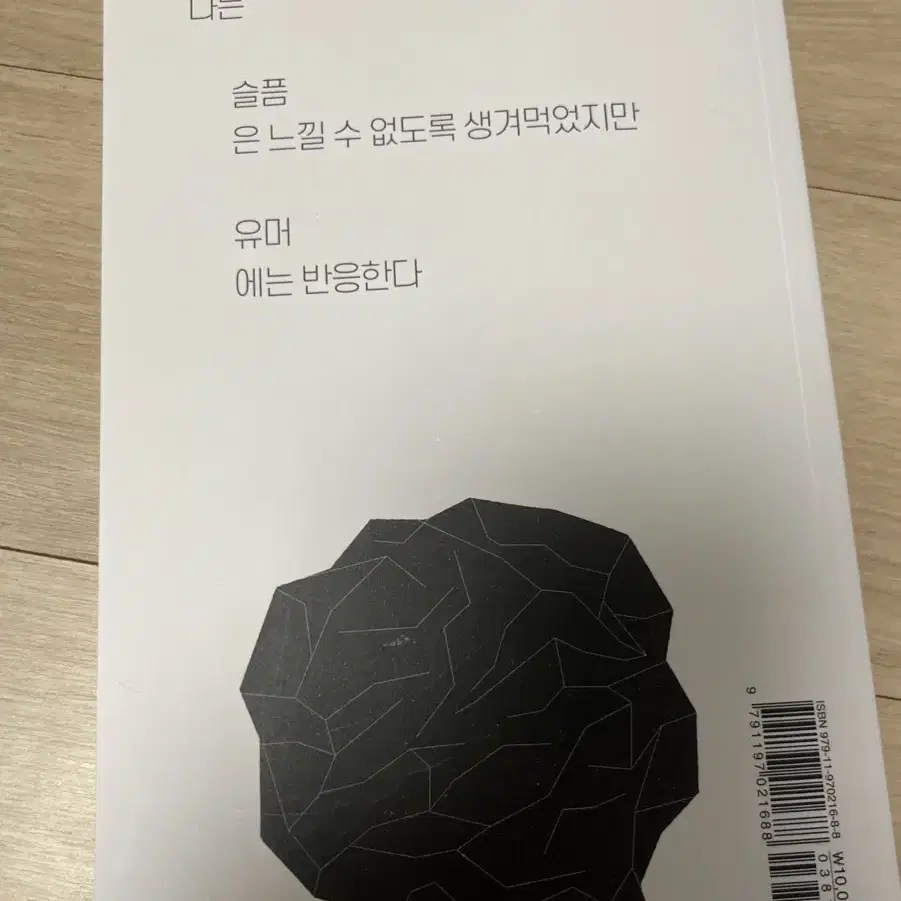 살인자의 기억법 책