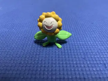 해바라기 몽콜레