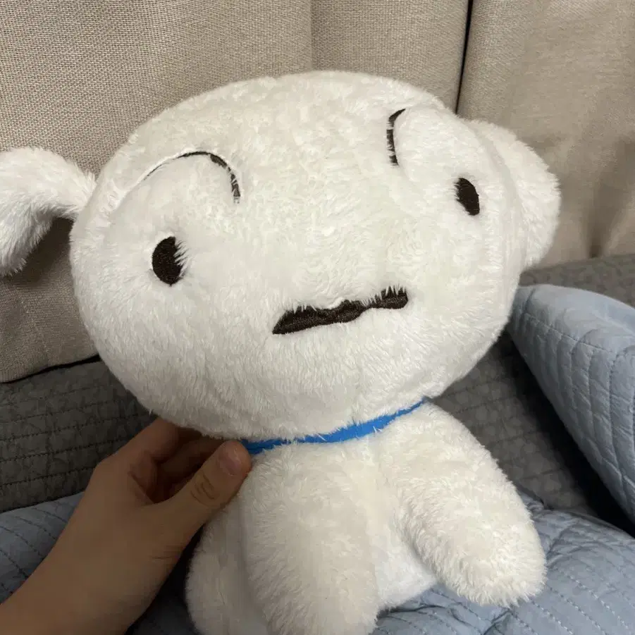 귀여운 흰둥이 인형