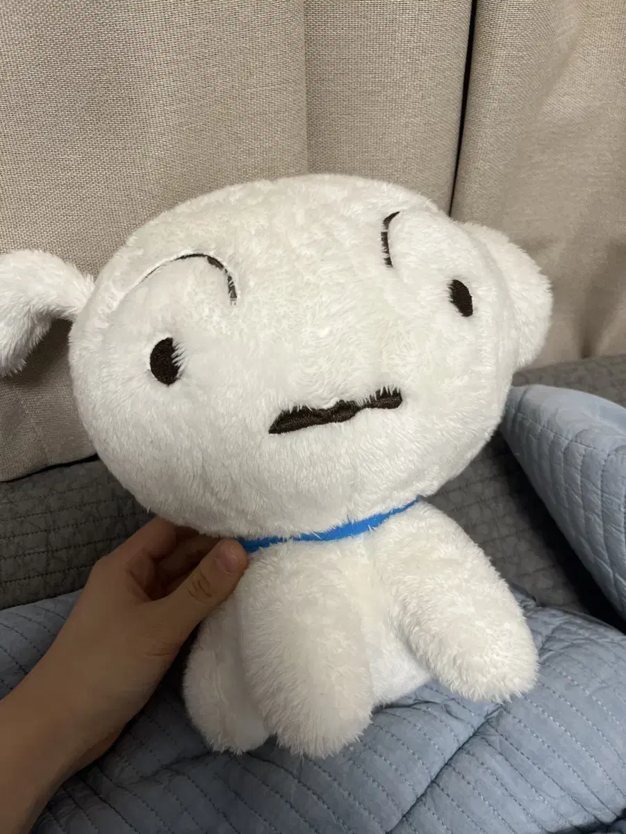 귀여운 흰둥이 인형