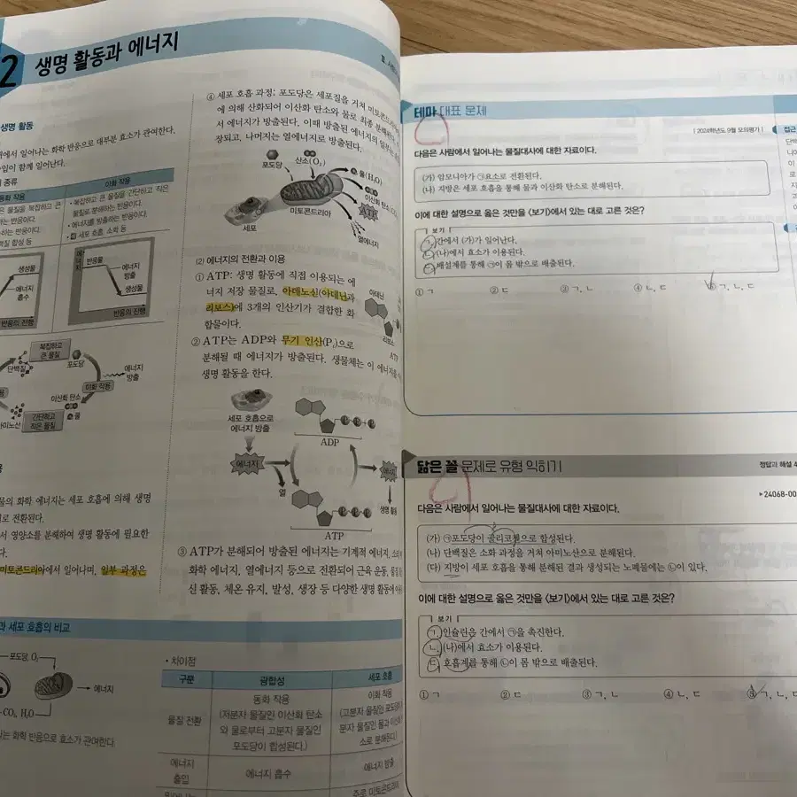 2025학년도 수능완성 생명1, 지구1