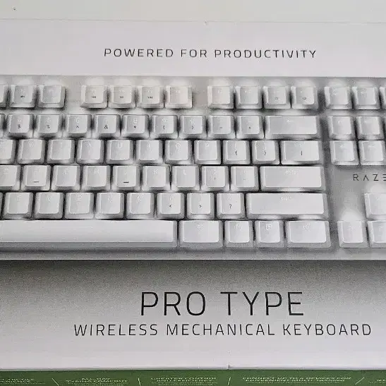 razer pro type 키보드 화이트