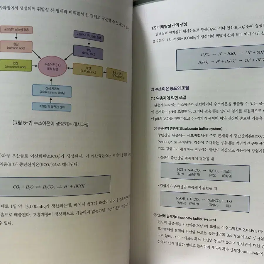 개념부터 이해하는 인체생리학 책 판매