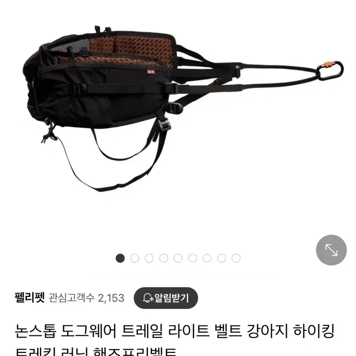 논스톱 도그웨어 트레일 벨트