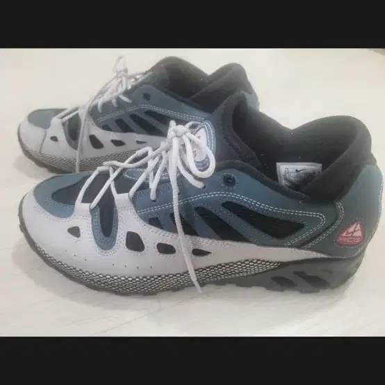 Nike ACG Air Exploraid Netural 275