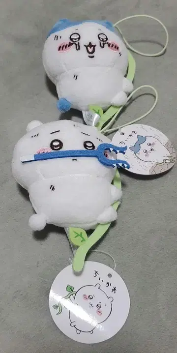 치이카와 구멍에 빠진 마 스캇치이카와 (먼작귀) 하치와레 세트