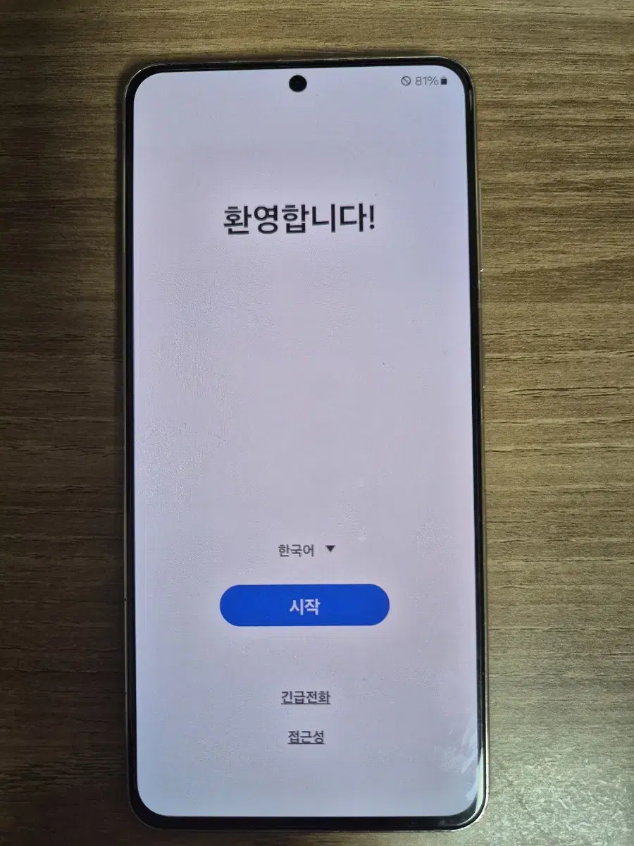 갤럭시s21