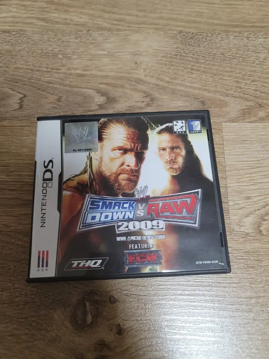 wwe ds 2009