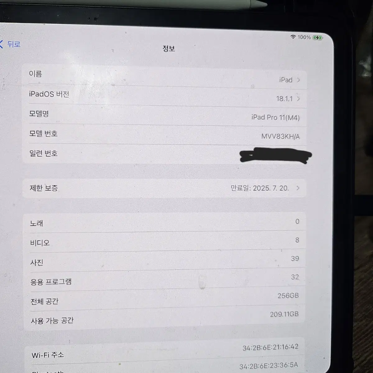 아이패드 프로 11 M4 256GB