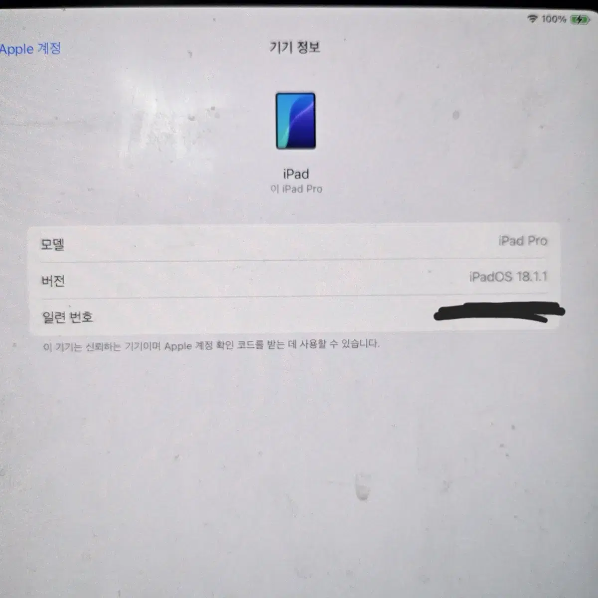 아이패드 프로 11 M4 256GB