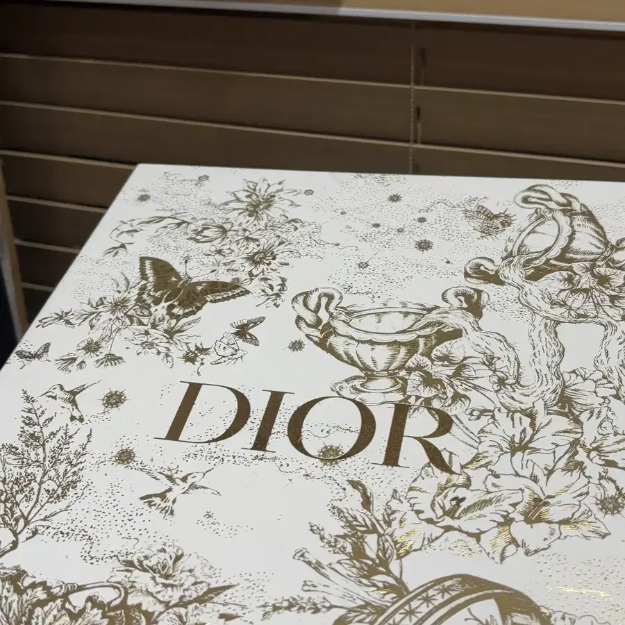 DIOR 레이디디올