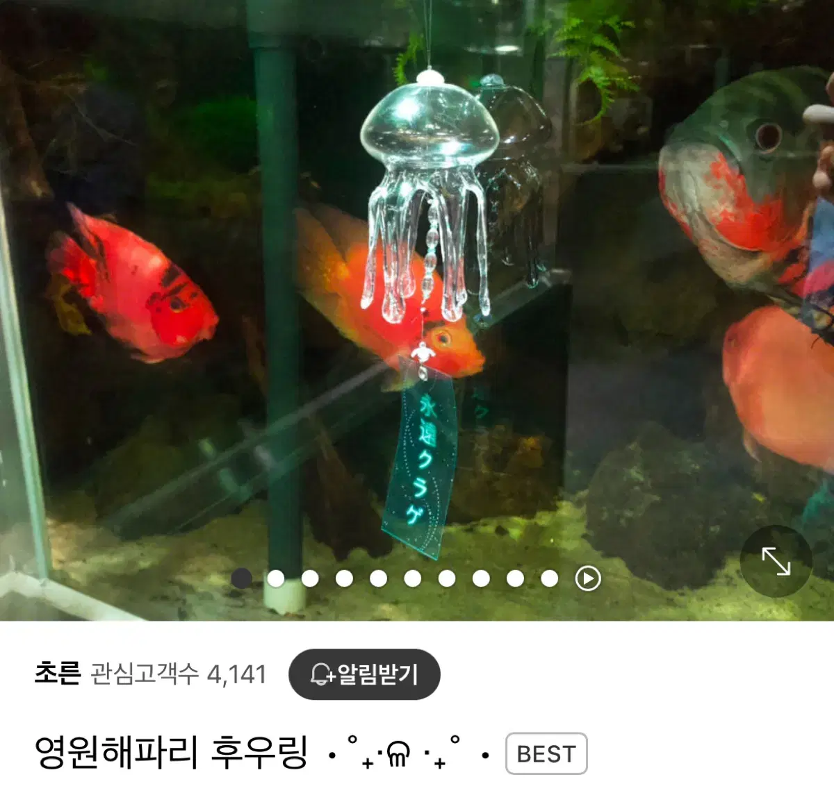 초른 해파리 후우링 미개봉