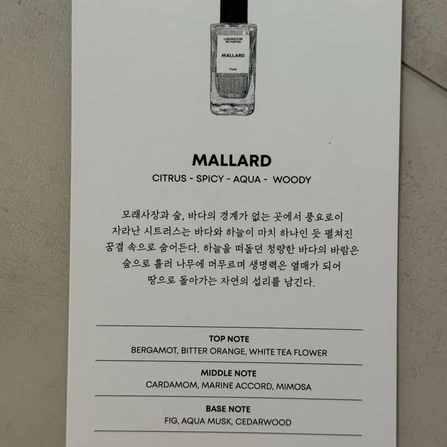 TWW 말라드 MALLRD 100ml 향수(새상품)