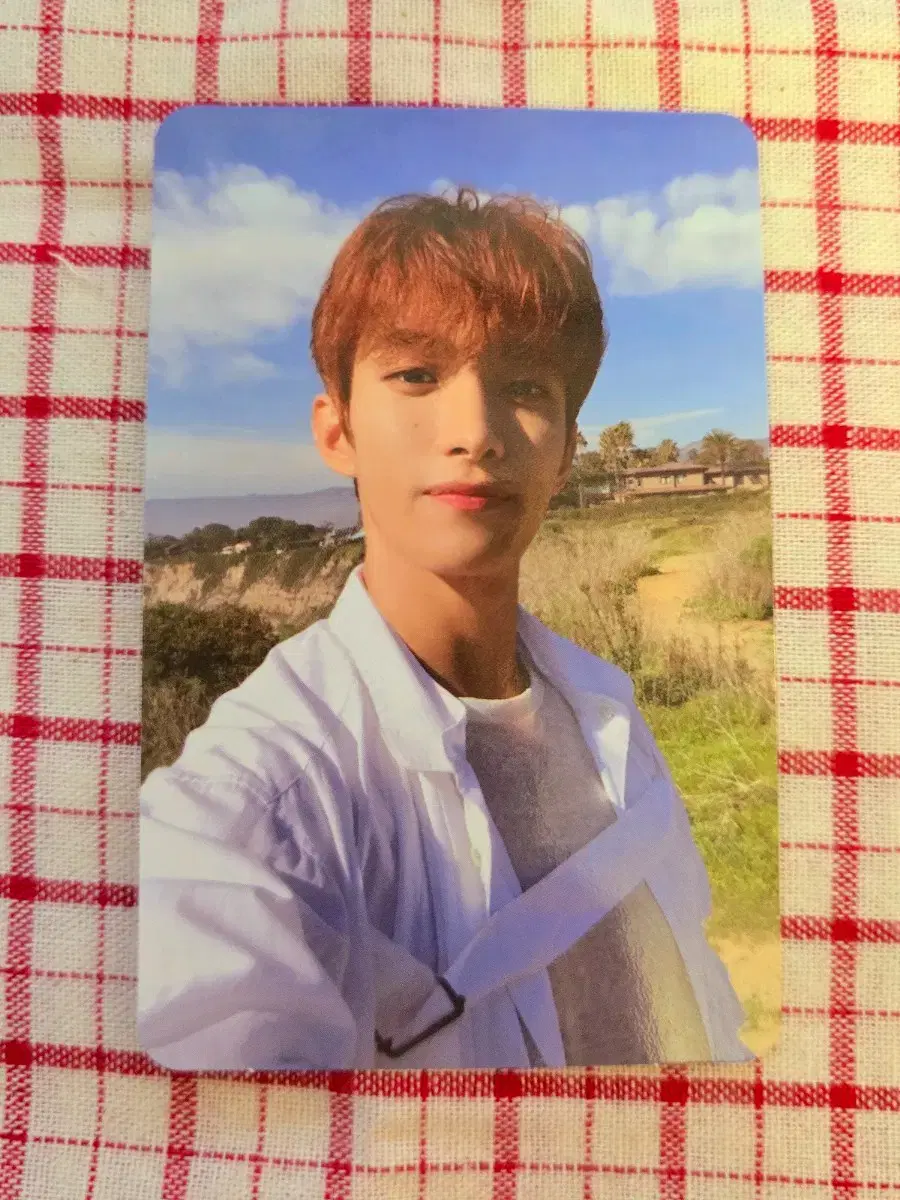 세븐틴 도겸 헹가래 둘