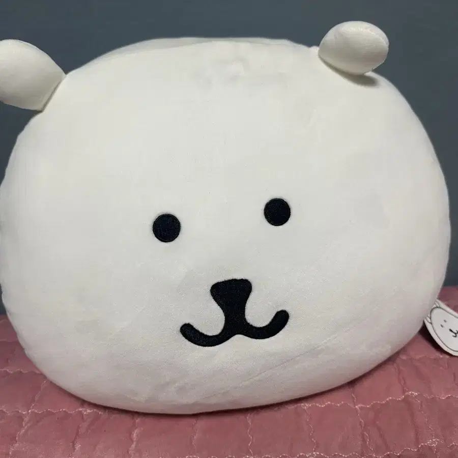 비플랏 농담곰 얼굴쿠션