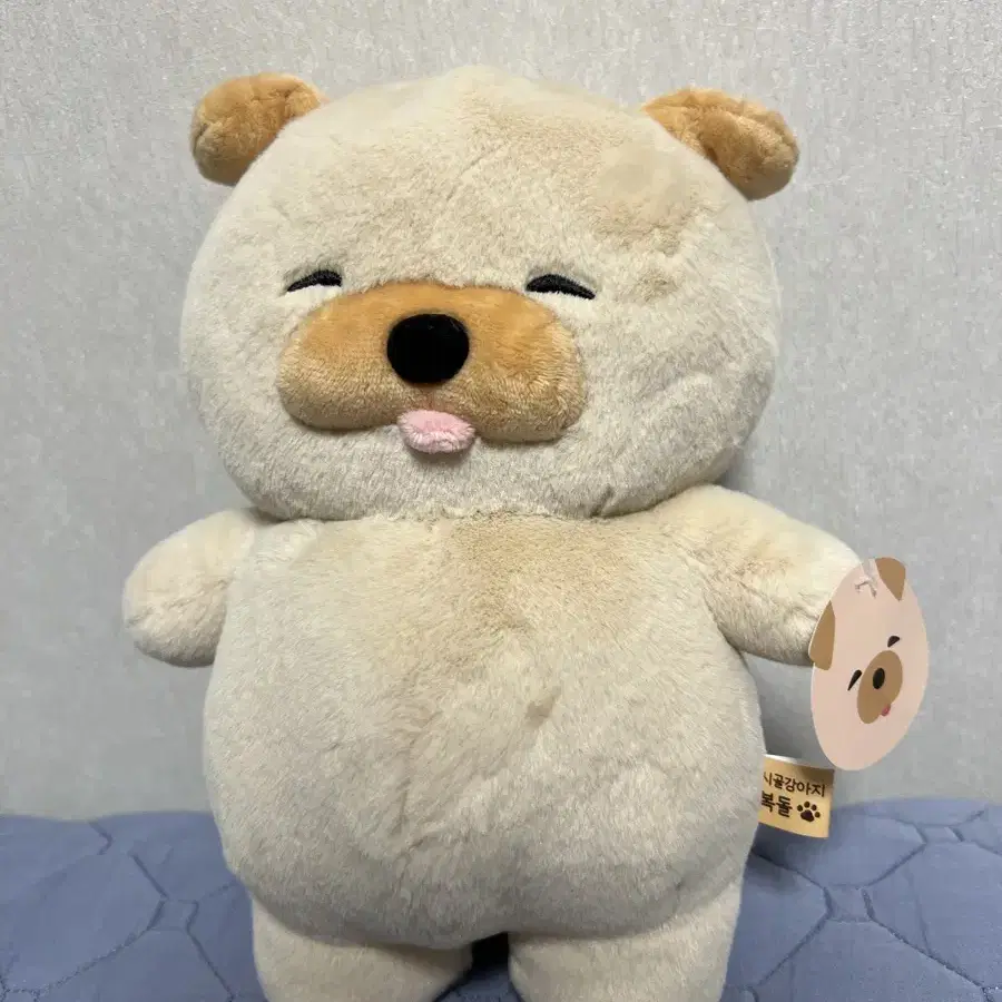 시골강아지 복돌 인형 25cm