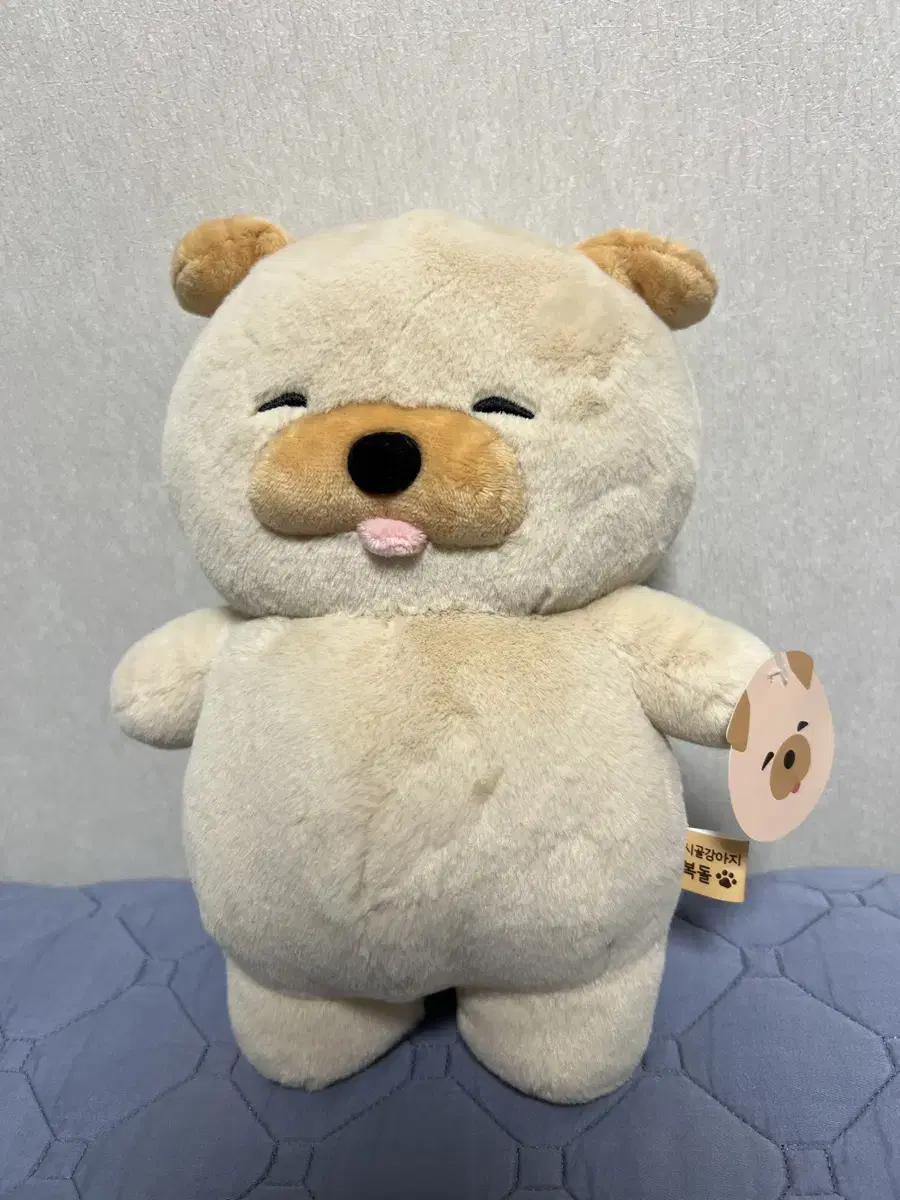 시골강아지 복돌 인형 25cm