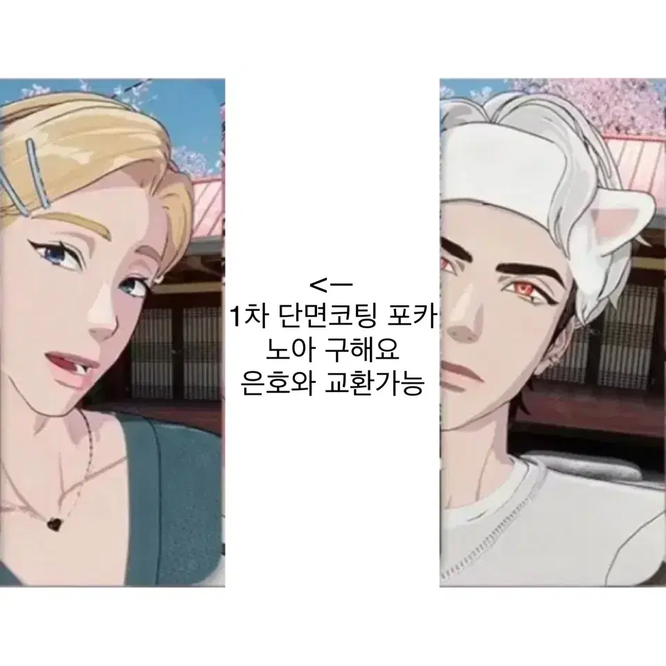 구 함 플레이브 메디힐 1차 단면코팅 노아 포카 은호 교 환가능 포토카드