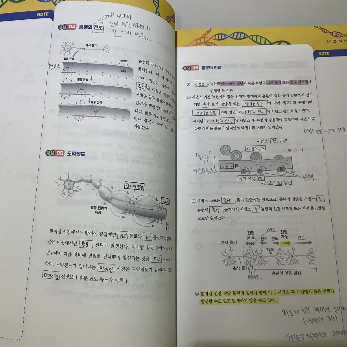 2026 생명과학 김태영 ACE 개념완성